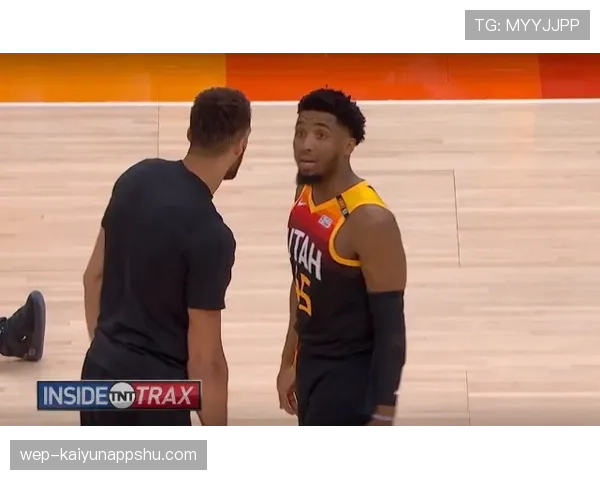 线内线外判罚标准有哪些细节容易被忽视？